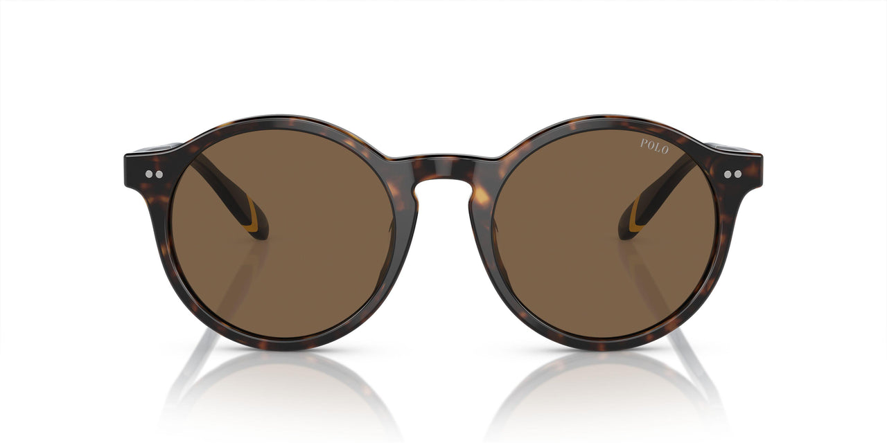 500373 - Brown - Brown
