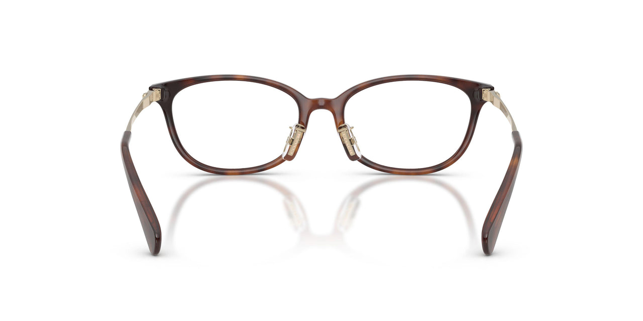 5120 - Tortoise