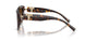 80153B - Tortoise - Brown Gradient