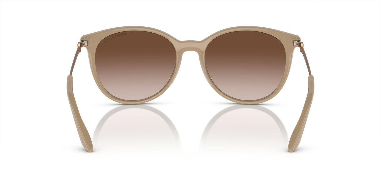 834213 - Brown - Gradient Brown