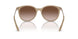 834213 - Brown - Gradient Brown