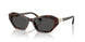 100287 - Tortoise - Dark Grey