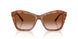 511413 - Brown - Brown Gradient