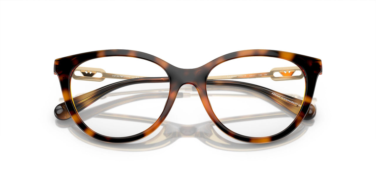 50261W - Tortoise - Clear