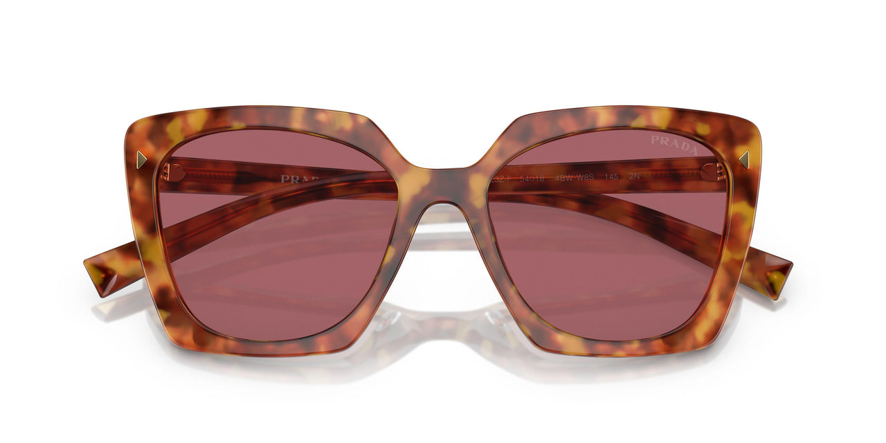 4BW08S - Tortoise - Dark Violet