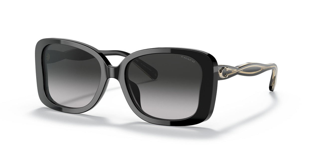 50023C - Black - Grey Gradient