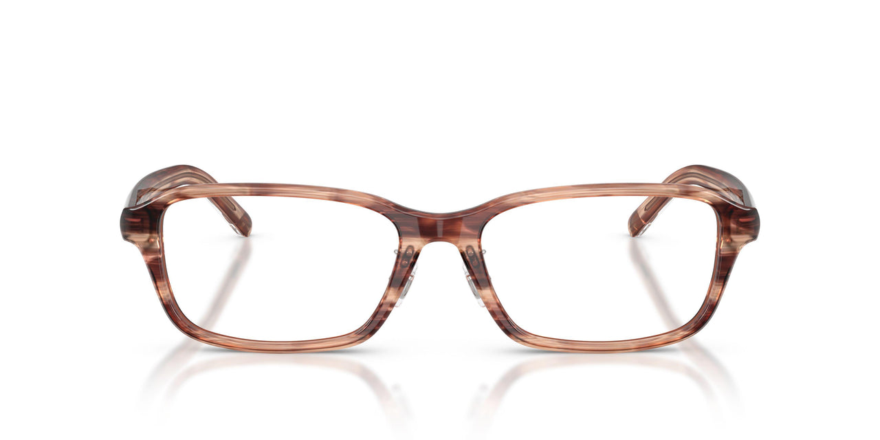 2036 - Brown