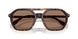 300673 - Tortoise - Brown Solid