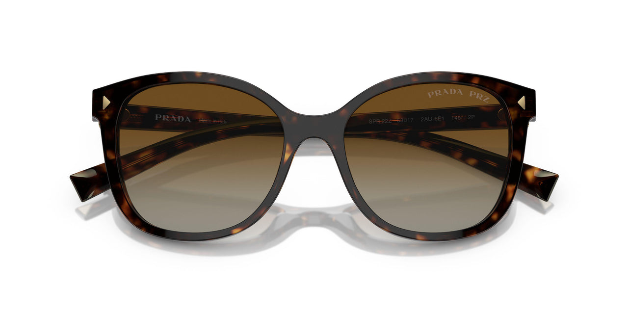 2AU6E1 - Tortoise - Polar Brown Gradient