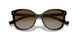 2AU6E1 - Tortoise - Polar Brown Gradient