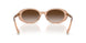 82683B - Pink - Brown Gradient