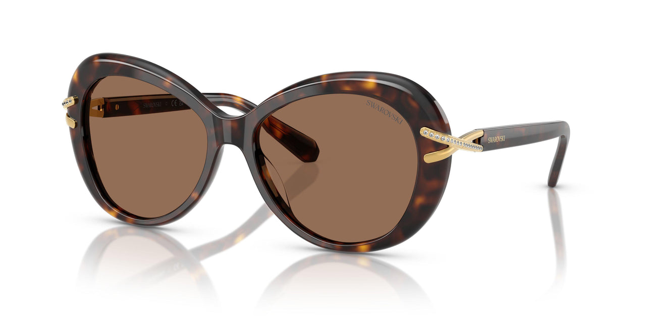 100273 - Tortoise - Dark Brown