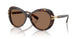 100273 - Tortoise - Dark Brown