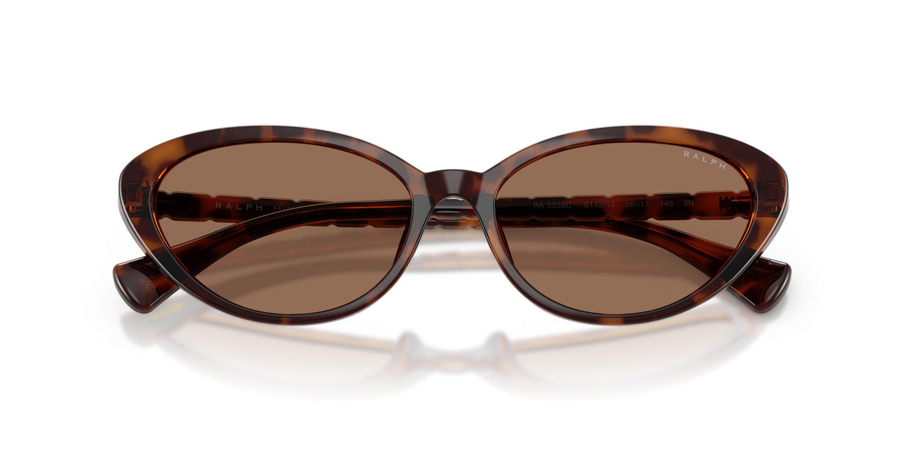 614913 - Tortoise - Brown