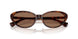 614913 - Tortoise - Brown