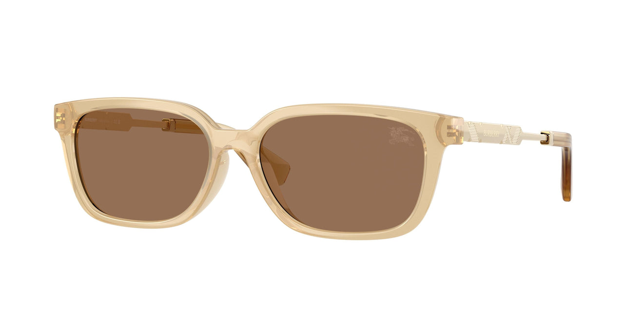 Burberry 4481D Sunglasses