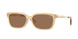 Burberry 4481D Sunglasses