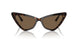 500273 - Tortoise - Dark Brown