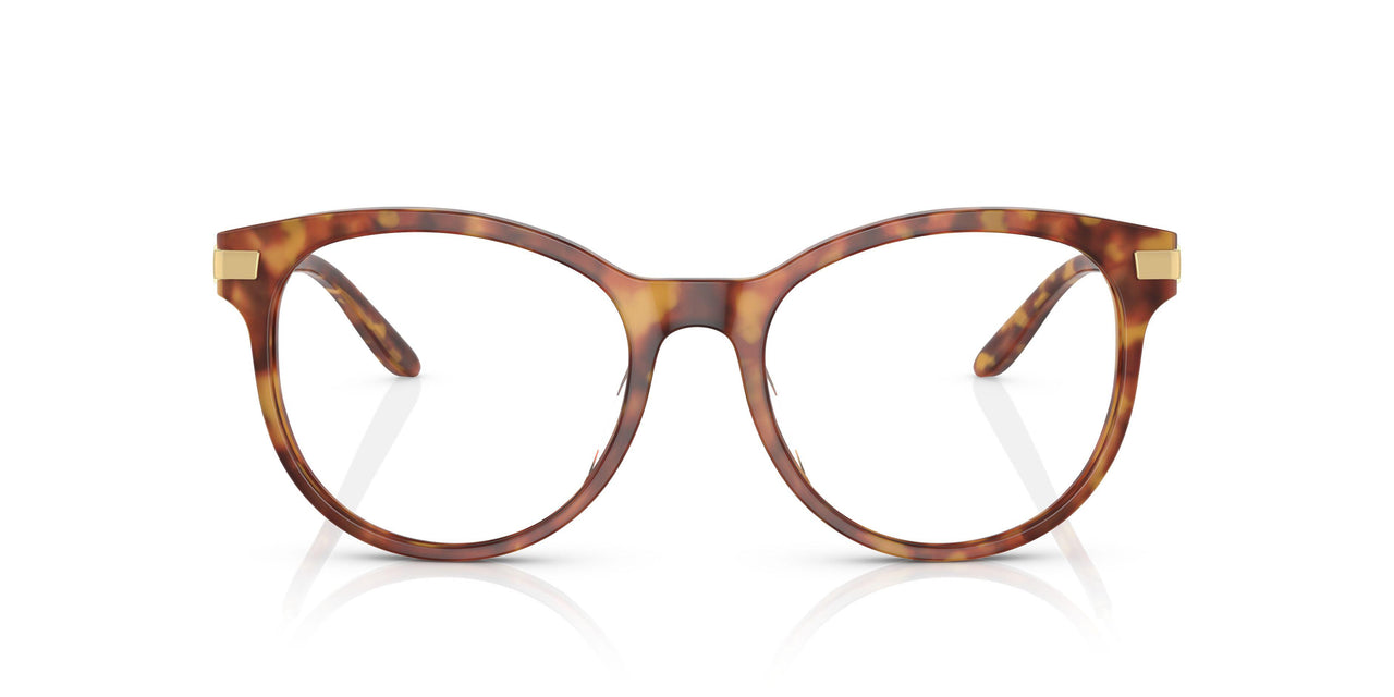 5023 - Tortoise