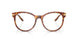 5023 - Tortoise