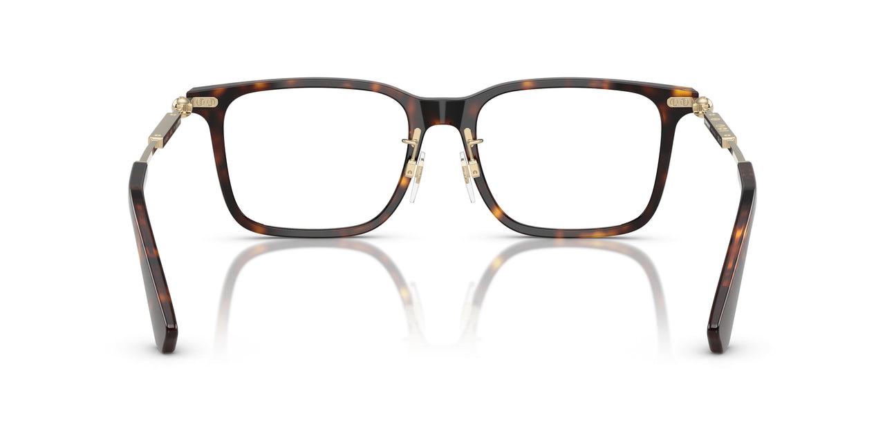 3002 - Brown
