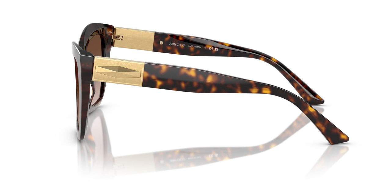 500213 - Tortoise - Gradient Brown