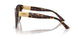 500213 - Tortoise - Gradient Brown