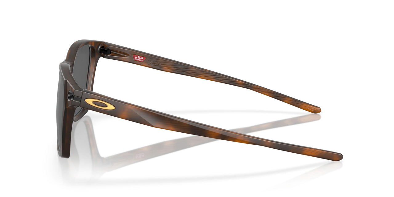 901818 - Brown - Prizm Black