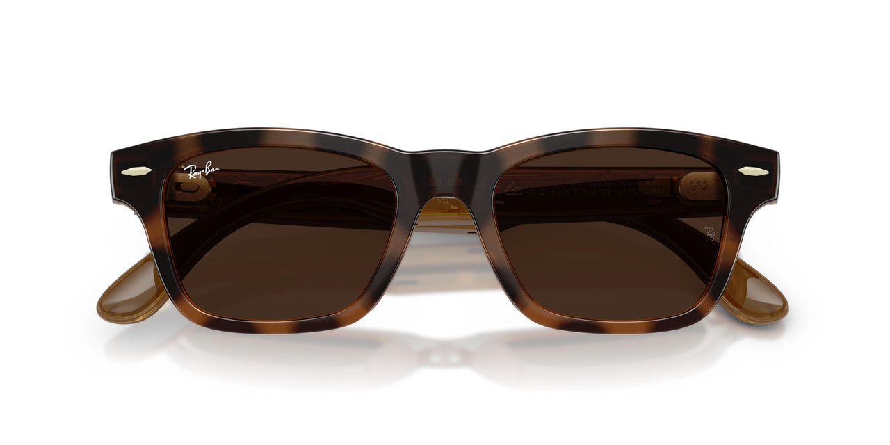 6928M4 - Tortoise - Clear/brown