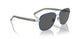 755/81 - Silver - Polarized Grey