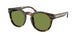 50034E - Brown - Solid Green