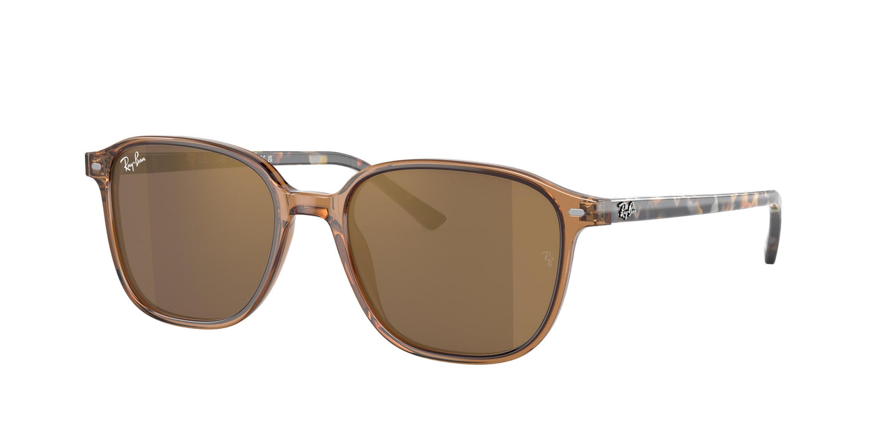 Ray-Ban Leonard 2193 Sunglasses