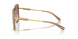 100213 - Brown - Brown Gradient