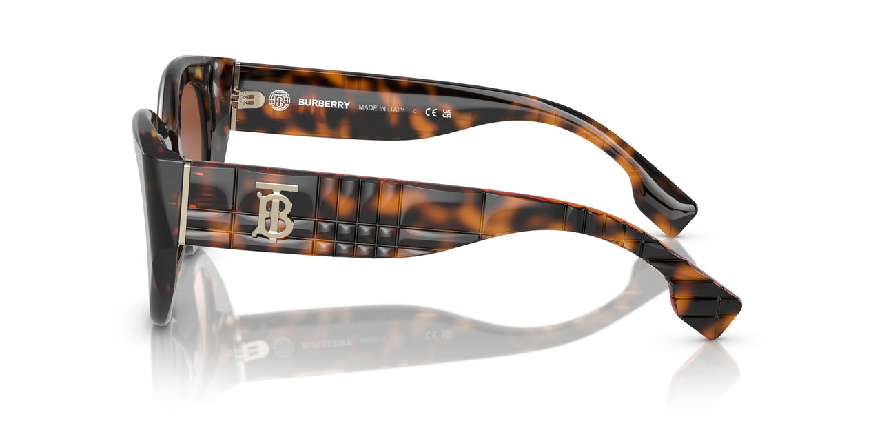300213 - Brown - Brown Gradient