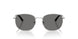 300281 - Silver - Dark Grey Polar