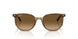 1439M2 - Green - Polarized Brown Gradient