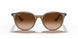 616613 - Light Brown - Brown Gradient Dark Brown