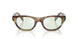 27J20X - Brown - Champagne Flash Bio