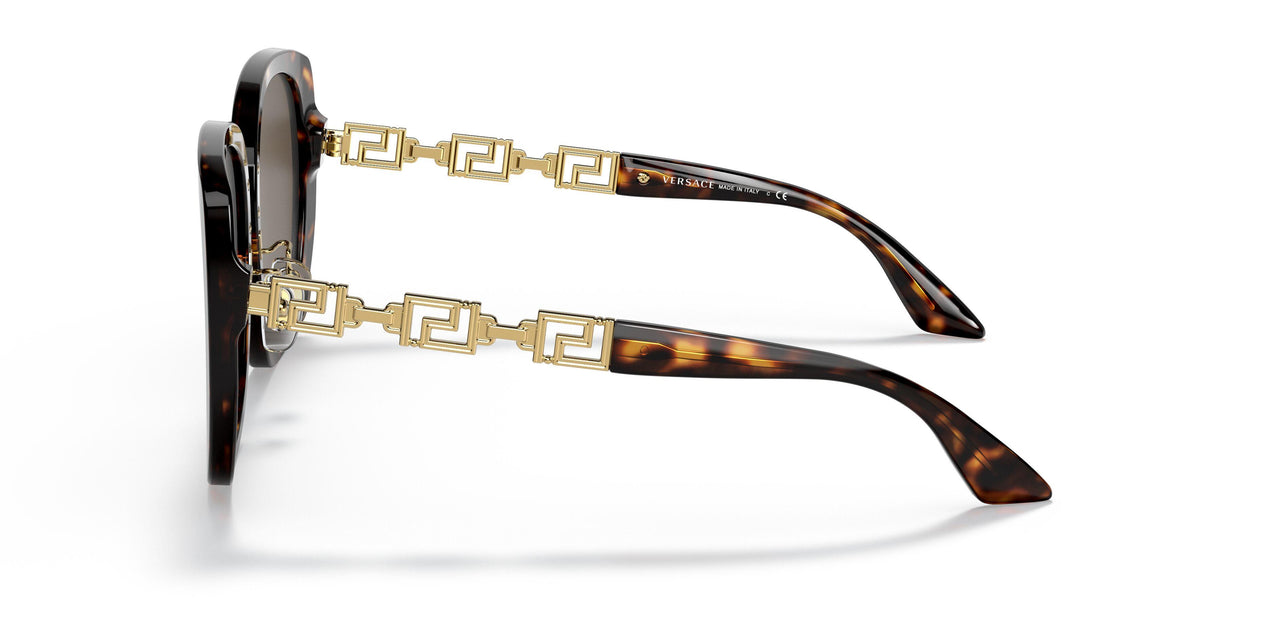 108/73 - Tortoise - Dark Brown