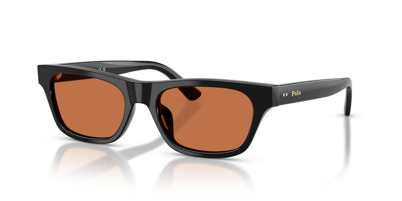 500173 - Black - Brown