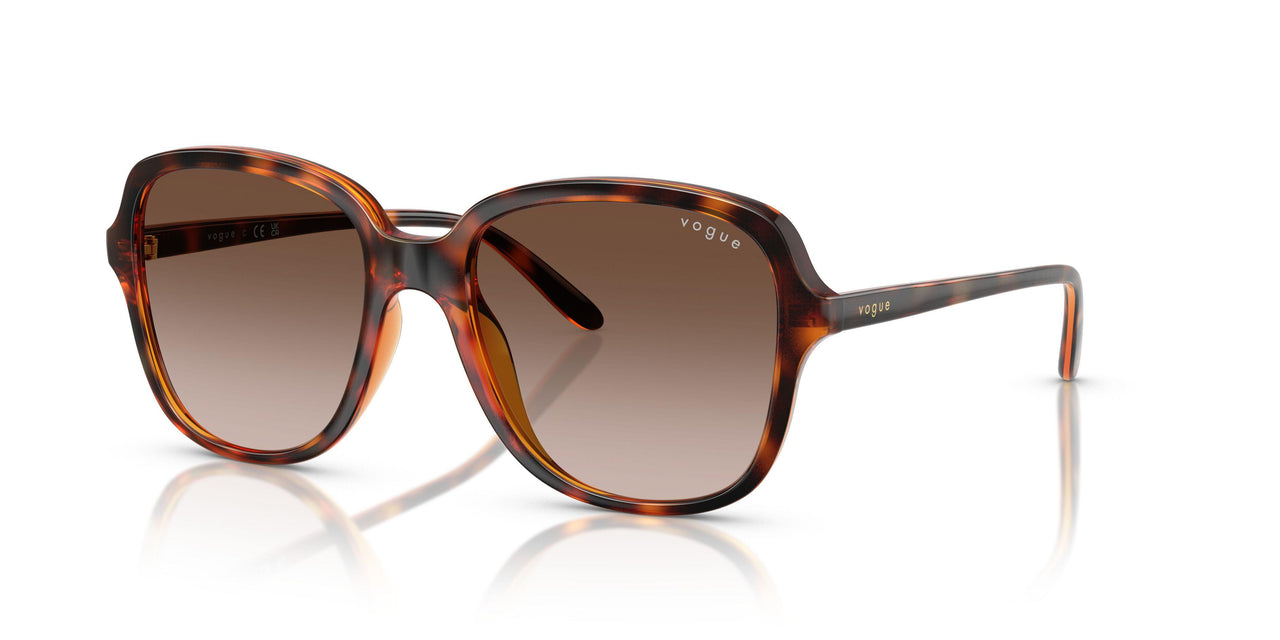 W65613 - Brown - Gradient Dark Brown