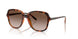 W65613 - Brown - Gradient Dark Brown
