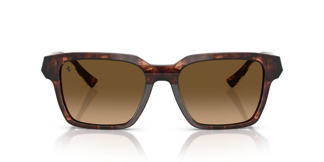 725/M2 - Brown - Gradient Brown