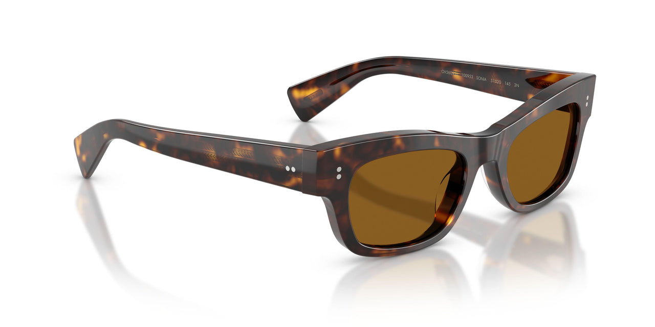 100953 - Tortoise - True Brown