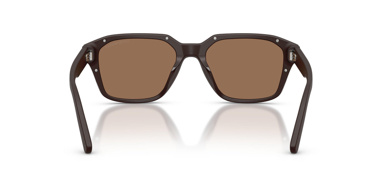 645873 - Brown - Dark Brown