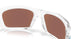 948607 - Transparent - Prizm Deep Water Polarized