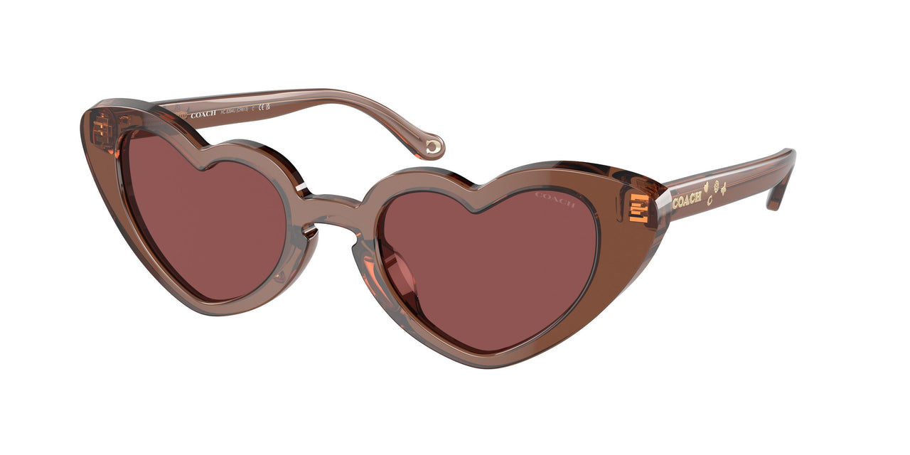 581175 - Brown - Wine