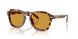 Coach Cfu14 8467U Sunglasses