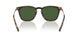 500371 - Brown - Bottle Green