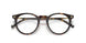 W656 - Brown